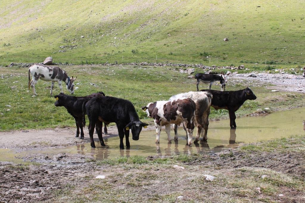 Dependance Sporting Hotel Livigno Luaran gambar